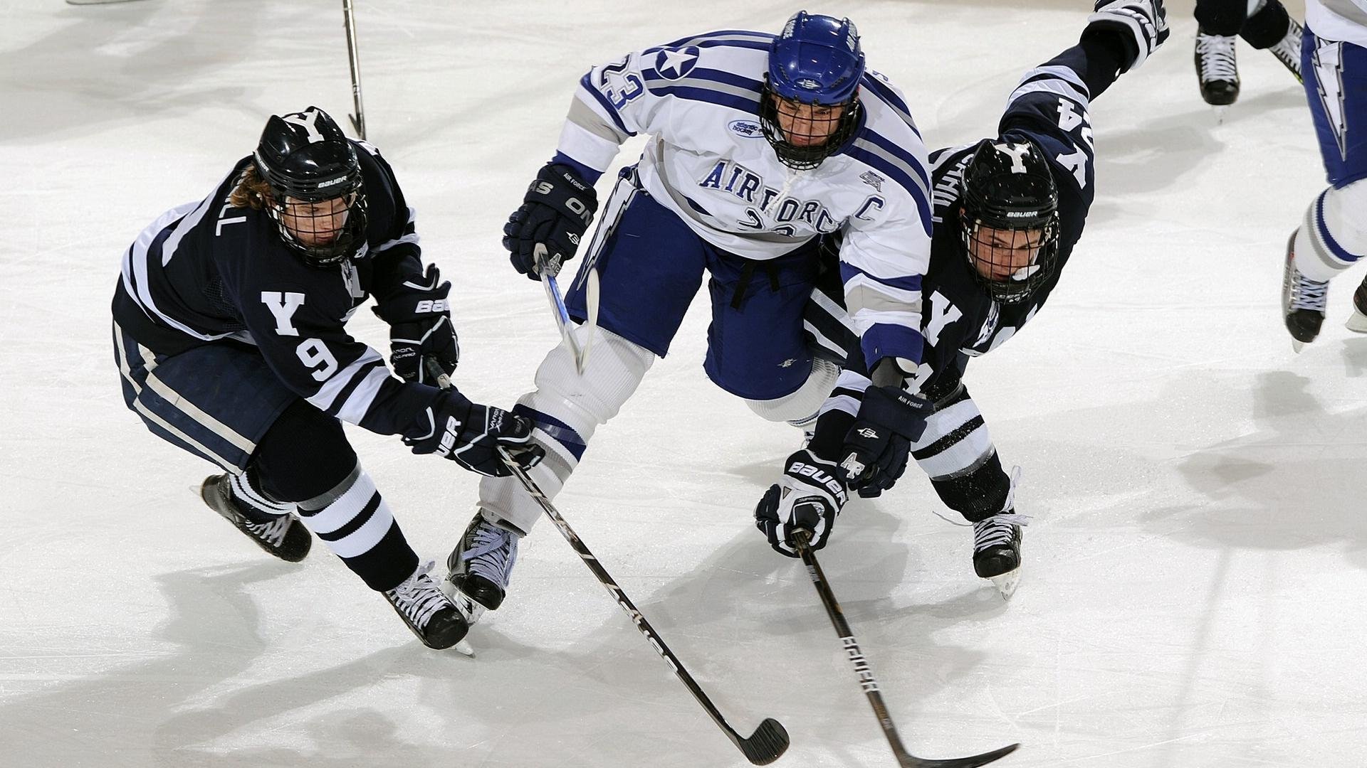 “擂台争锋,自由搏击赛事见证巅峰对决!”
