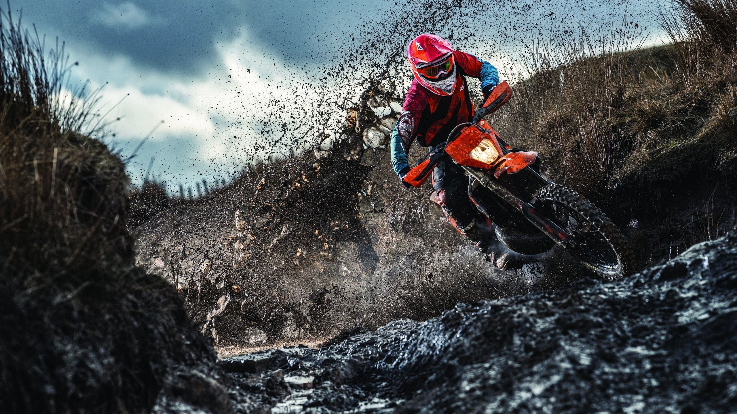 开云体育下载官网-电竞高校邀请赛决赛夜万人在线围观，高校电竞联盟挑战赛全国总决赛